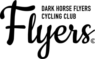Dark Horse Flyers logo