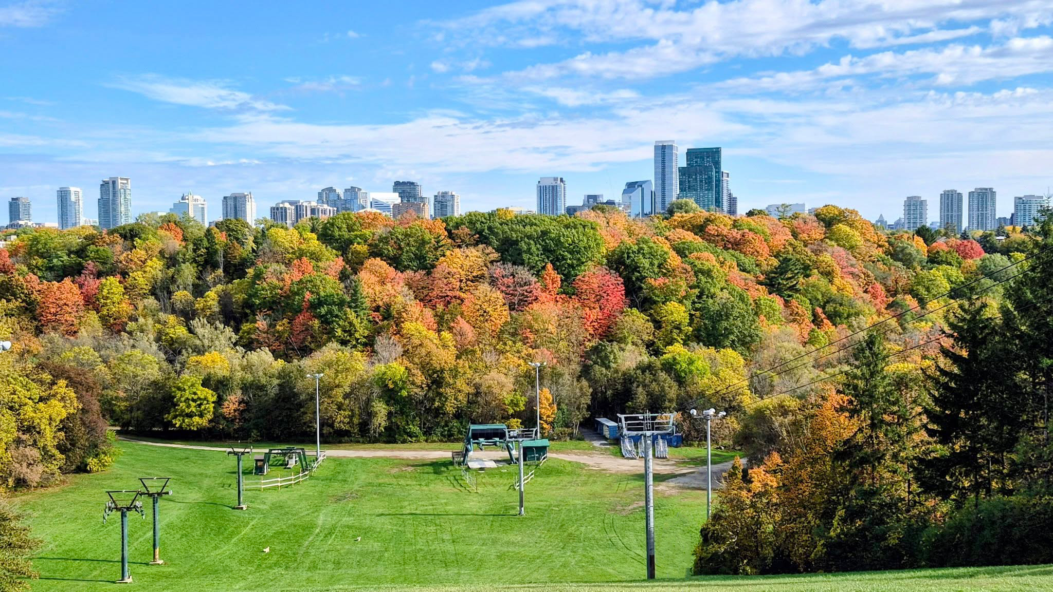 Green hillside trail