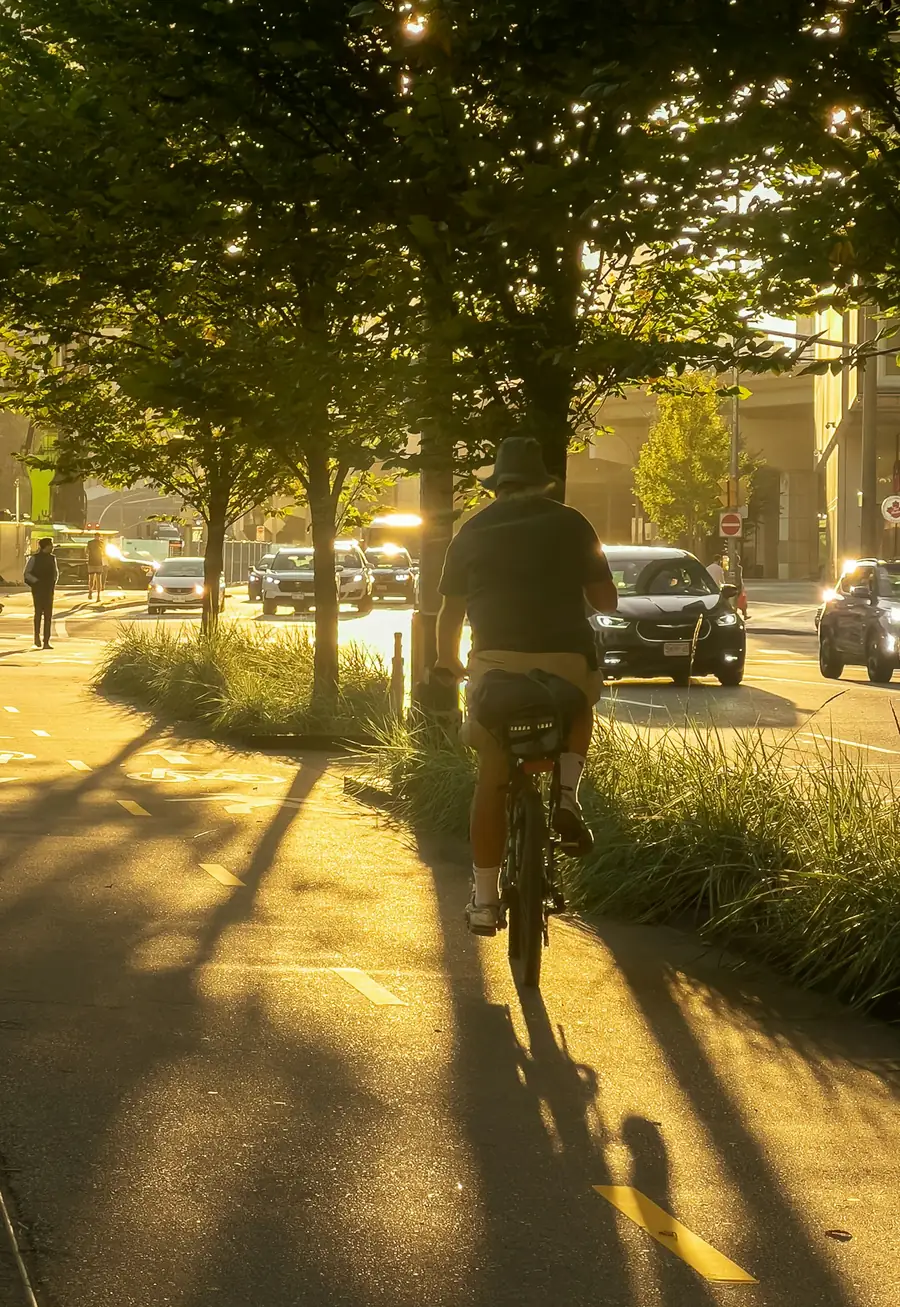 A cyclist riding a city bike lane in golden evening light
